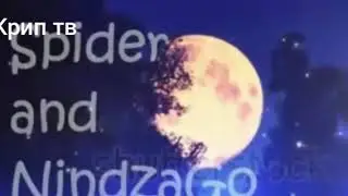 Спайдер и Ниндзяго