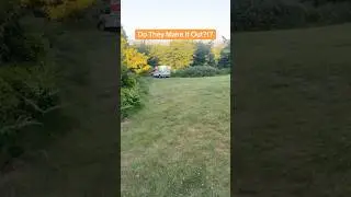 How’d they get down there? 