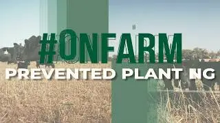 #ONFARM: Prevented Planting and Cover Crop