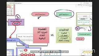 مراجعة أهم محطات المناعة بيام 2024 الجزء الأول