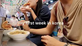 my first week living in seoul, south korea pt 1💌 gwangjang market, hongdae, euljiro | korea vlog #2