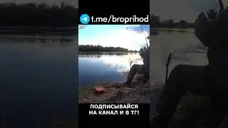 Подсек хариуса и тяну) 