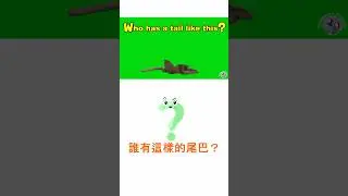 Guess the Tail猜猜這是誰的尾巴