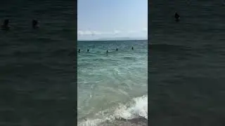 Greece. Attica. Zoumperi. Ελλάδα. Βορειοανατολική Αττικη. Ζούμπερι.🇬🇷🇬🇷🇬🇷