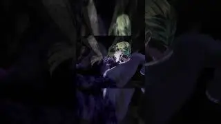Счастливый конец Киры 