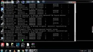4. (VxVM) Veritas Volume Manager Volume creation and online relayout