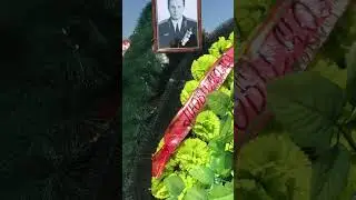 18 августа 2024 г.