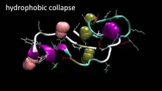 Simulation of millisecond protein folding: NTL9 (from Folding@home)