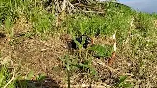 Furitek FX118 crawling up some lumpy terrain