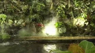 Vườn nhà cam xã liên phương