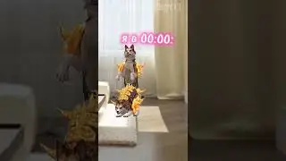 нез что пис в описание