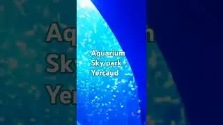 SKY Park Yercaud || AQUARIUM #yercaudtouristplaces #aquarium #skypark