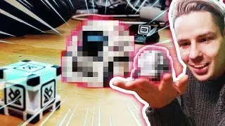 Our NEW UFO PET!