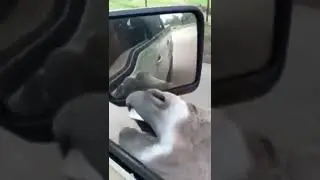 Бугунги об-ҳаво ҳақида қисқача 😅