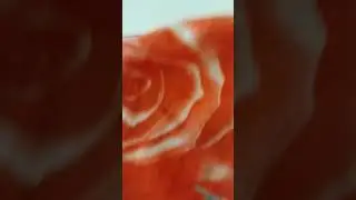 sting mimicry #anime #edit #animeedit #music #phonk #demonlayer #brazilian #funk #brazil #geometry