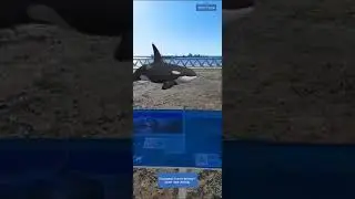 Realidad Aumentada en Puerto Madryn