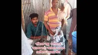 মুরগীর কেজি ১৫০/- টাকা।। ভাইরাল বয়লারের খবর