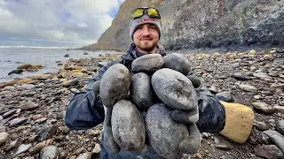 INSANE Fossil Haul After Coastal Storm! Ammonites EVERYWHERE!