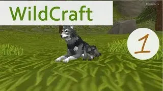 Как играть в WildCraft? Моя первая игра в WildCraft