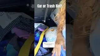 Car or Trash?