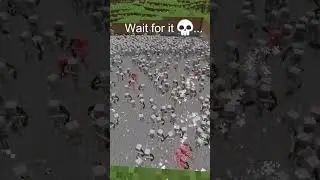 Epic MINECRAFT SKELETON END MOMENT 