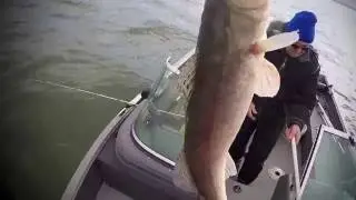 Lac St-Pierre walleye using Bite Booster Lures