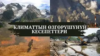 Климаттын өзгөрүшүнүн кесепети кандай болот?