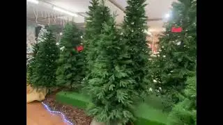 Albero Slim Dresda verde - CITSSHOP.IT