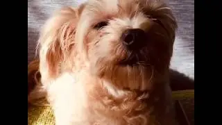 Coco from Instagram / 20191111