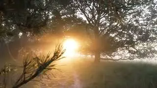Law Kana Bainana - Abdul Rahman Mohammed (Lyrics + English Translation)