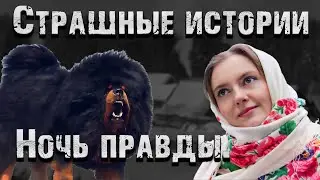 Страшные истории. Ночь правды.