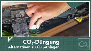 CO₂-Düngung im Aquarium – Alternativen zu CO₂-Anlagen