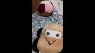 Meus brinquedos de pelúcia que fica na minha cama