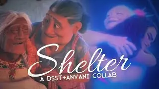 DSST ♦ Shelter {feat. anyani}