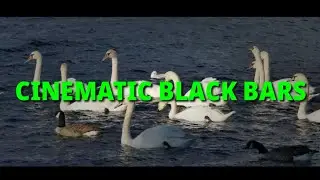 How to Add Cinematic Bars in Kinemaster | Black Bars