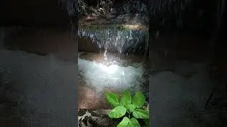 Источник в диком месте