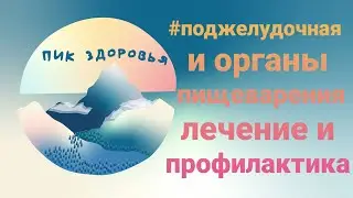 Поджелудочная и органы пищеварения.Лечение #поджелудочнаяжелезалечение#лечение#рак