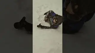 КАК БАТЯ ХОДИЛ В ШКОЛУ В ДЕТСТВЕ 😂
