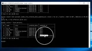 20 datetime datatype
