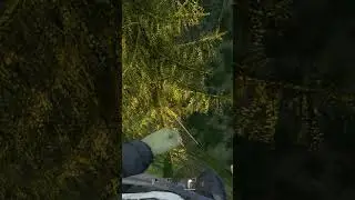 DayZ - Close call! #gaming #dayz #dayzpc #gamingvideos #gamingshorts #gameplay #dayzgamers