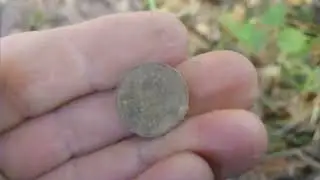 рог ,перо и чешуя