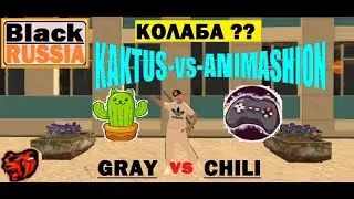 КОЛЛАБА с блогером ANIMAISHION (Нужна???) Сервер "CHILI vs GRAY".  Поюзаем "БЛЕК РАШУ"???