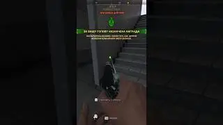 ВОРВАЛСЯ К ЧЕЛИКАМ 😁 