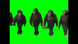 Monkey uuu aaa uuu aaa green screen.