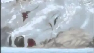 Wolf's Rain - I Will Not Bow