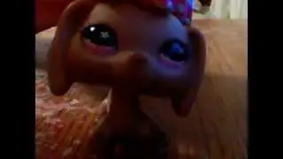 Updates On Brown Dachsund (in lps trade vid!!) PLZ WATCH!!!