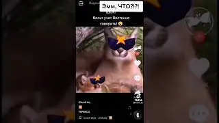 Мем из тик тока 8