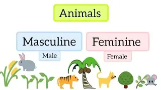 Masculine and feminine gender of animals| class1 and class 2 children|English olympiad@Cashewkids