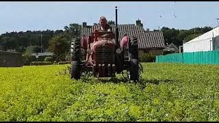 Massey ferguson 35X Multipower mowing the Alchemilla's