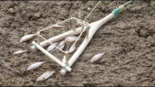 Creative Amazing Trap to Catch the White Breasted Waterhen at the Pond Work Very Well